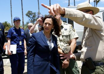 In 2020, Kamala Harris Made Contributions to Help Violent Criminals Get Back on the Street. Did this Contribute to a Rise in Crime in 2020?