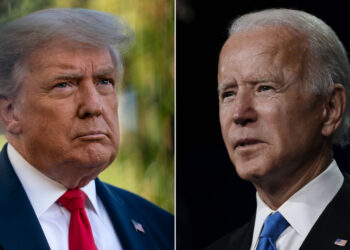 Who is to blame for the lack of COVID tests in the US?