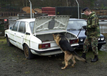 Should mom be held for putting her COVID-positive teenage son in her car trunk to stop the spread?
