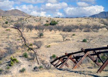 Should illegal aliens to the US be housed and transported free of charge?