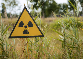 Do you support a new Iran nuclear deal?