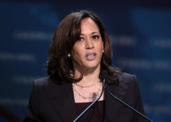 Was Kamala discriminating against pregnant men?