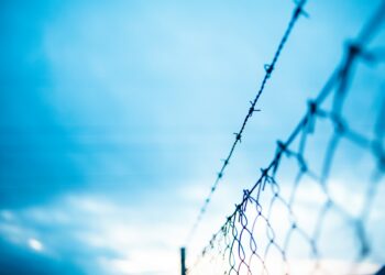 Should states build a border wall if Biden won’t?