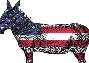 Who would you rather see as the Democrat nominee in 2024?