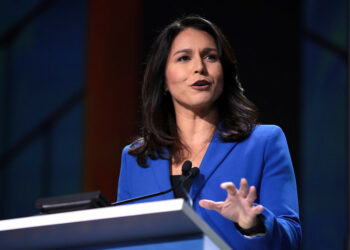 Do you feel favorably about Tulsi Gabbard?