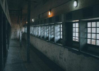 Should Kamala Harris be replaced?