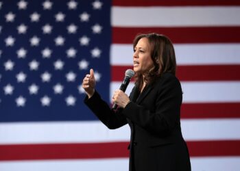 Media Says Kamala Harris Is A Great Vice President, Do You Agree?